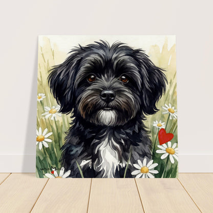 NATURMAEDEL® CREATIV DESIGN - „AIMEE“ HAVANESERHUENDIN - WANDBILD AQUARELL  - POSTER KUNSTDRUCK - MUSEUMSQUALITAET 250g -Buero, Arbeitszimmer - Wanddeko -   - Design Verena u. Janina Boehler by VerJa.ME® - 1.20 - www.naturmaedel.shop - 