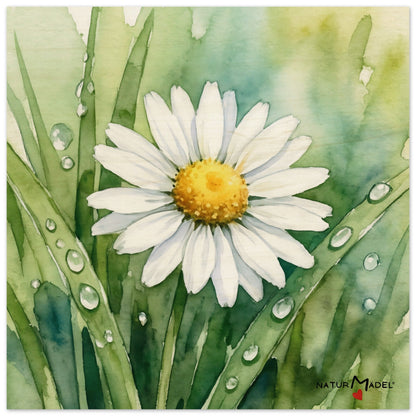 NATURMAEDEL CREATIV DESIGN - WANDBILD AUF EDLEM BIRKENHOLZ - AQUARELL „GAENSEBLUEMCHEN“  aus „Wo ist Milli?“ - HERZENSGESCHENKE - Designed by Verena u. Janina Boehler, VerJa.ME - 1.0 - www.naturmaedel.shop - 