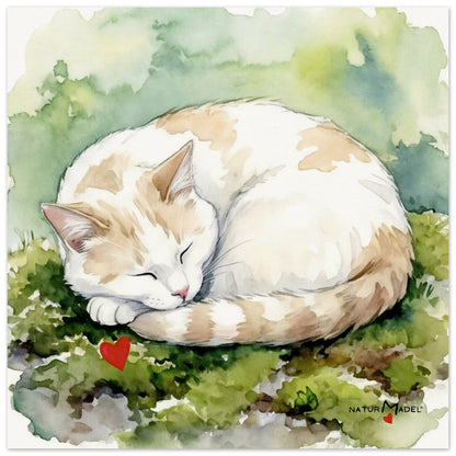 NATURMAEDEL® CREATIV DESIGN "KATER CARLO" - AQUARELL KUNST-POSTER - Museumsqualitaet 250g Premiumpapier - GLUECKSGEFÜHLE PUR - Wandbild Garderobe Floor  -  Design Verena u. Janina Boehler by VerJa.ME® - 1.23 - www.naturmaedel.shop - 
