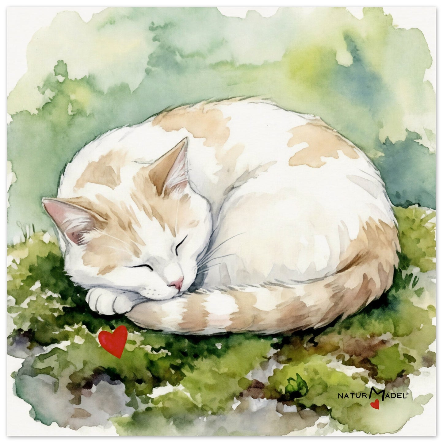 NATURMAEDEL® CREATIV DESIGN "KATER CARLO" - AQUARELL KUNST-POSTER - Museumsqualitaet 250g Premiumpapier - Wunderschoene Farben und Design -GLÜCKSGEFÜHLE PUR - Wandbild für Kinder-, u. Jugendzimmer -  Design Verena u. Janina Boehler by VerJa.ME® - 1.0 - www.naturmaedel.shop - 
